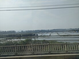 高铁窗外风景水塘水田农业