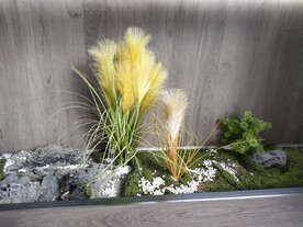 黄色蒲苇毛毛草造景景观