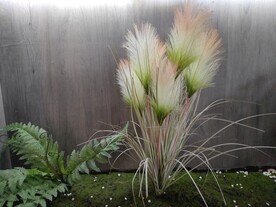 毛毛草蒲苇仿真植物造型景观