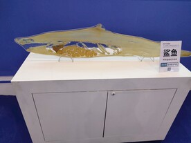 鲨鱼生物塑化标本生物科技展品