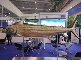 剑鱼生物塑化标本生物科技展品