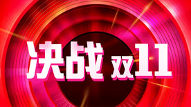决战双11