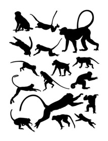 猴子剪影 