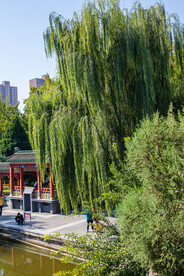 石家庄平安公园