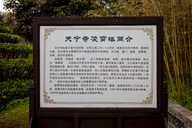 天宁禅寺