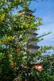 开元寺