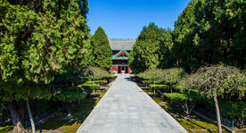 隆兴寺