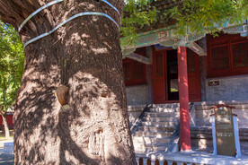 隆兴寺