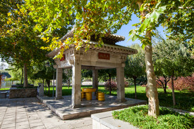 石家庄中山公园