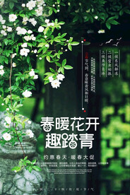 春天海报