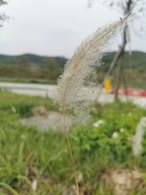 乡间小路 