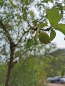 乡间小路
