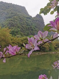 桂林山水 