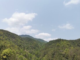 乡间小路 