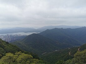 乡间小路 