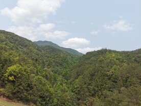 乡间小路 