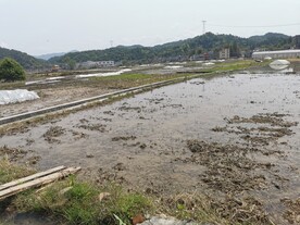 乡间小路 