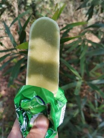 冰棍 