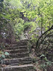 爬山 山路