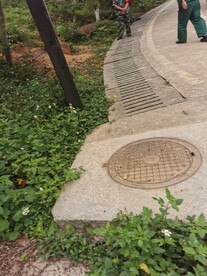 乡间小路 、