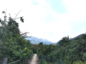 乡间小路