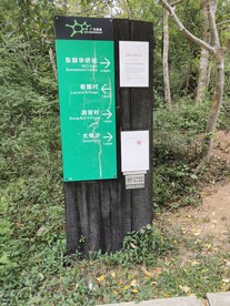 乡间小路 