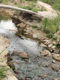 小溪 小桥流水
