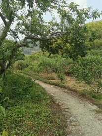 乡间小路