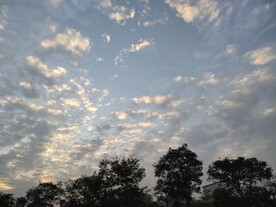 秋日日落天空云霞树木剪影