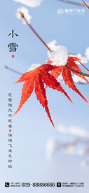 节气海报