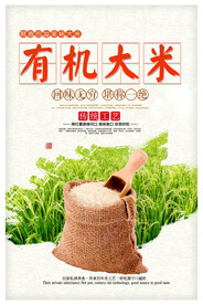 大米海报