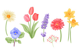 花 
