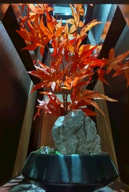 中式花艺装饰红枫和石头