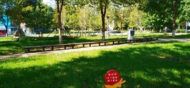 校园绿色