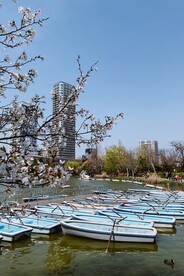 小船