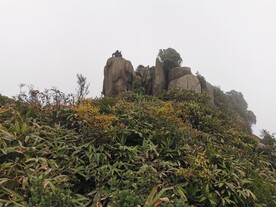 爬山