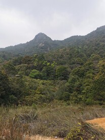 爬山