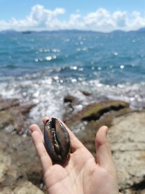 大海