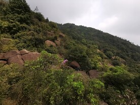 爬山 