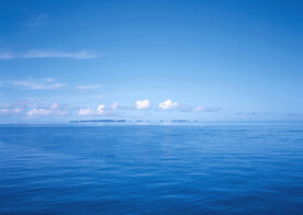 大海