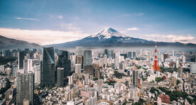 城市