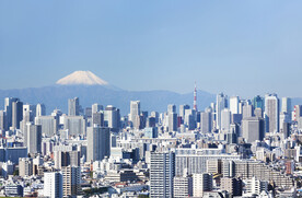 城市