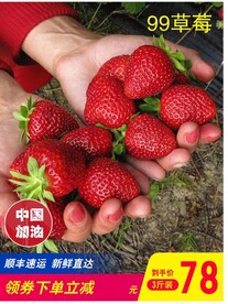 草莓图片