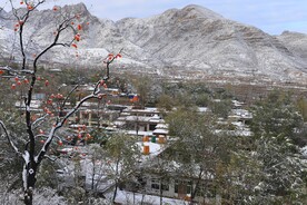 瑞雪兆丰年