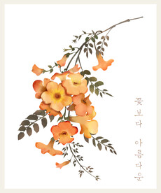 花朵手绘凌霄水粉水彩