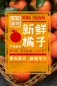新鲜柚子