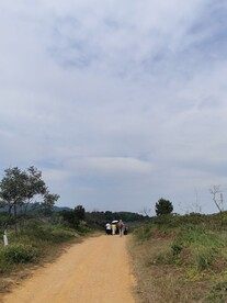 田间小路