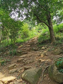 爬山
