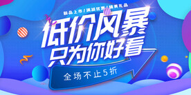 低价风暴