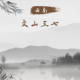 国风主图